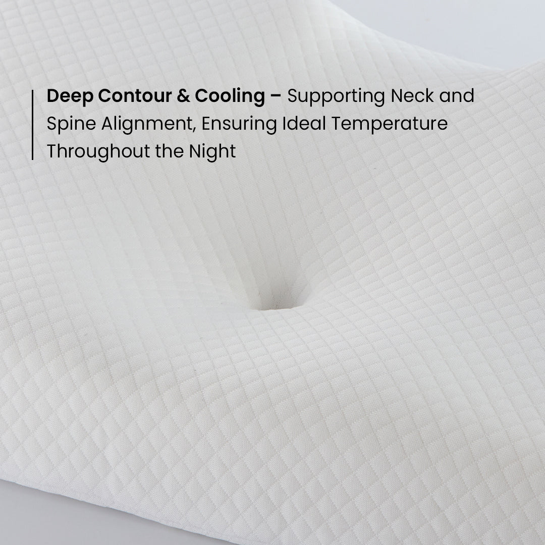 Comfort Spine Pillow